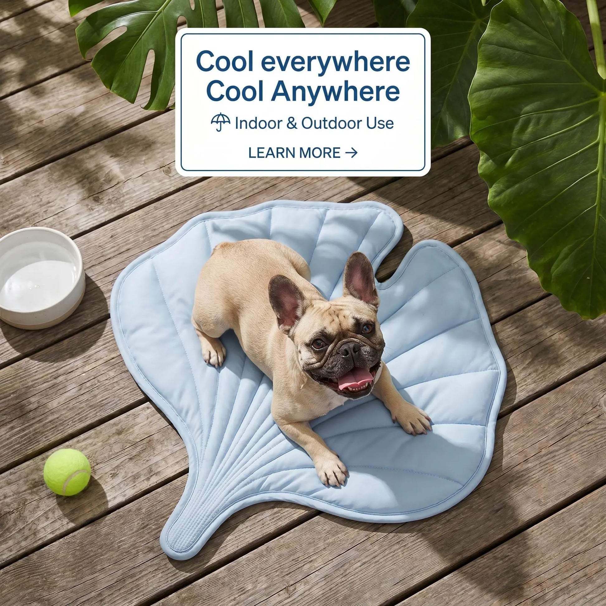 Nuzzlebox Eco-Friendly Gel-Free Cooling Pet Bed Mat - Durable, Portable, and Machine Washable Summer Solution for Cats and Small Dogs (34" x 36") Ideal for Outdoor Use