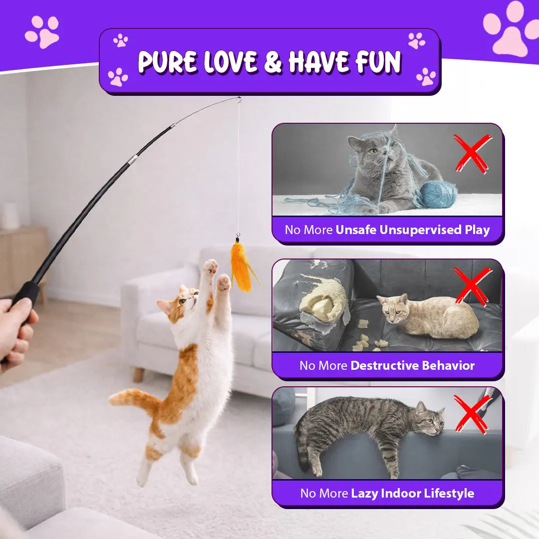 Interactive Cat Toys - Retractable Wand Toy and Feather Toys Refills for Indoor Cats to Chase and Exercise
