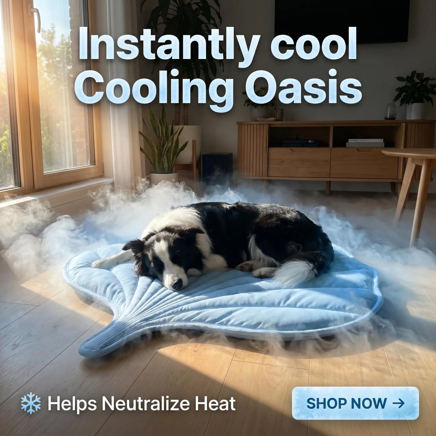 Nuzzlebox Eco-Friendly Gel-Free Cooling Pet Bed Mat - Durable, Portable, and Machine Washable Summer Solution for Cats and Small Dogs (34" x 36") Ideal for Outdoor Use
