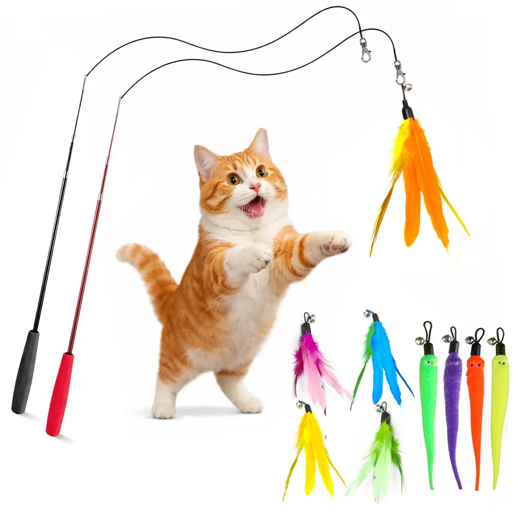 Interactive Cat Toys - Retractable Wand Toy and Feather Toys Refills for Indoor Cats to Chase and Exercise